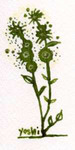 App0277.jpg